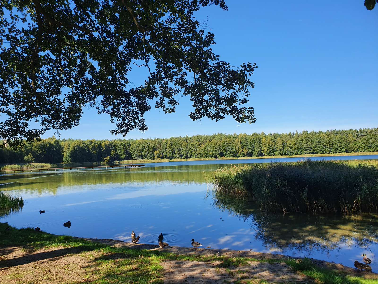 Jezioro