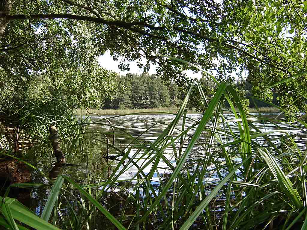 Jezioro