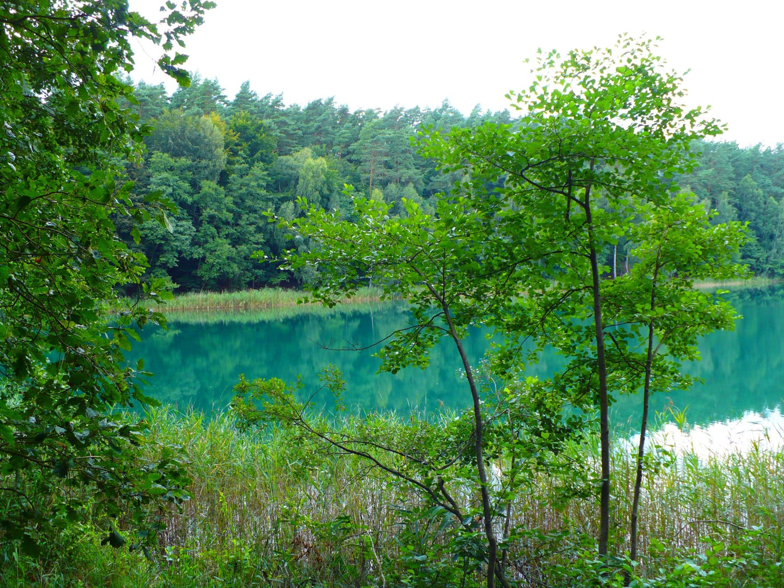 Jezioro