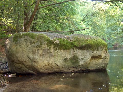 "Wydrzy Głaz" w Drawieńskim Parku Narodowym. Fot. E.Wnuk-Gławdel