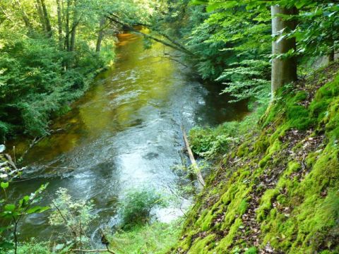 Drawa &ndash; interesująca przyroda i zr&oacute;żnicowany charakter rzeki.