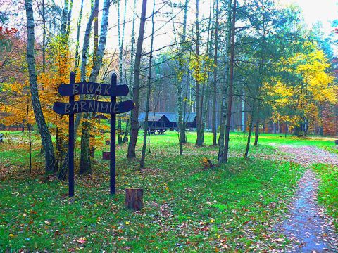 Biwak "Barnimie" &ndash; położony ma prawym brzegu Drawy. Fot. M. Wytlib