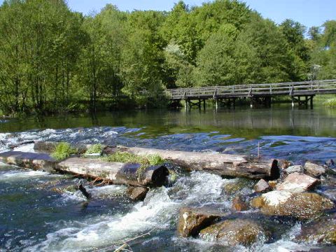 Drawa &ndash; drewniany most. Fot. I. Galas-Chruścicka