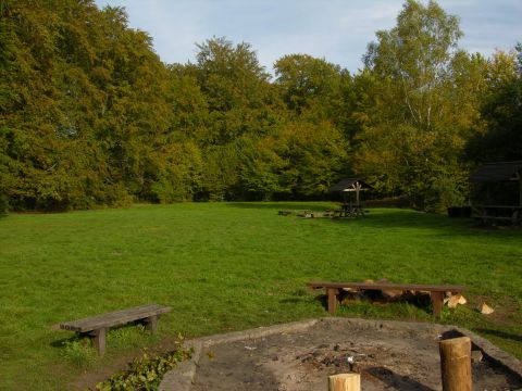Biwak &bdquo;Pstrąg&rdquo; &ndash; dawny plac składowy drewna. Fot. M. Bylina