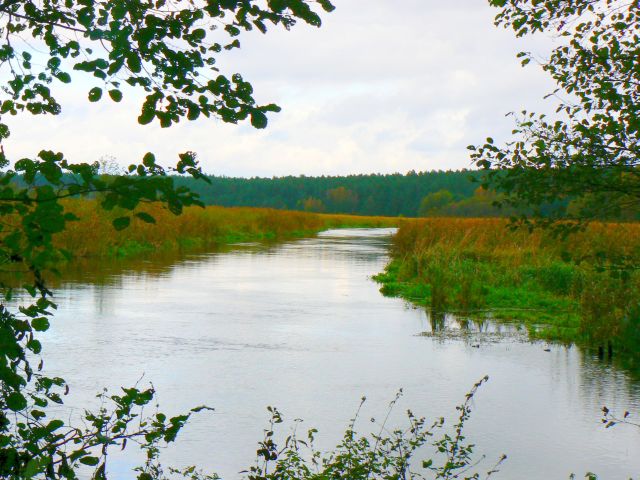 Drawa &ndash; szerokie rozlewiska wśr&oacute;d łąk. Fot. M. Wytlib