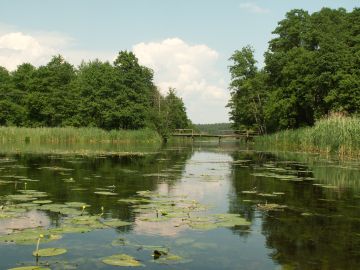 Rozlewiska Drawy między drewnianym mostem a jez. Grażyna. Fot. J. Grzyś