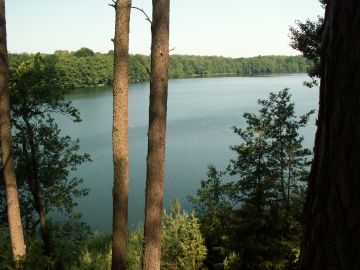 Jezioro Krzywe Dębsko. Fot. J. Grzyś