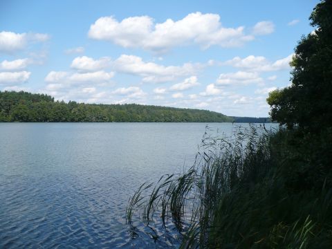 Jezioro Ostrowieckie fot. J&oacute;zef Borsuk