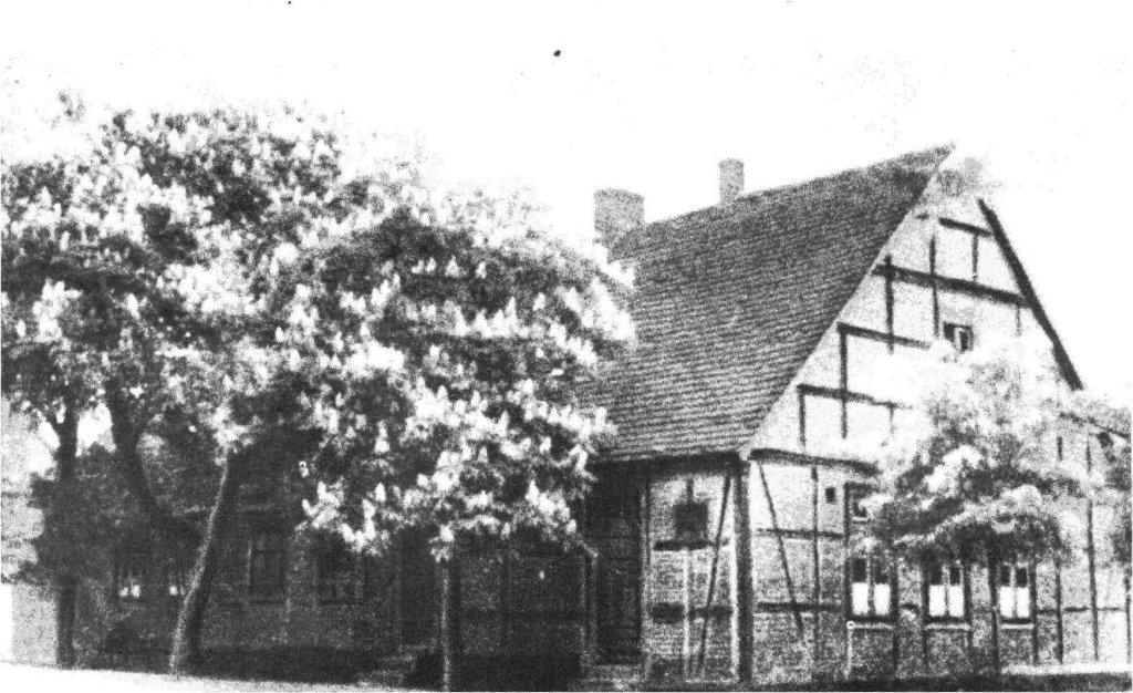 Budynek szkoły i aleja kasztanowa &ndash; lata trzydzieste XX w. Fot. H.R.